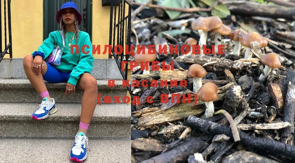 мяу мяу кристалл Алексин