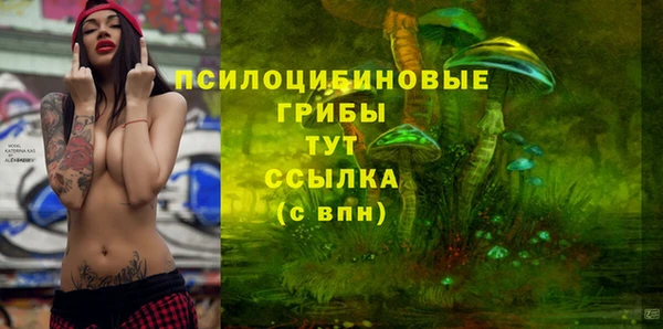 гидропоника Алзамай