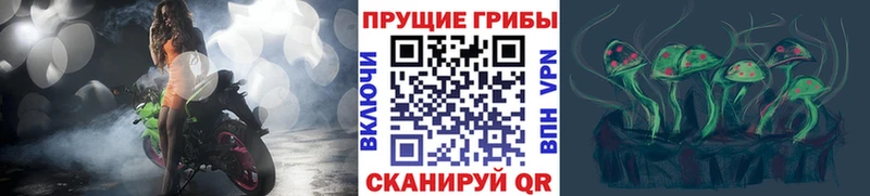 Псилоцибиновые грибы GOLDEN TEACHER  Новоаннинский 